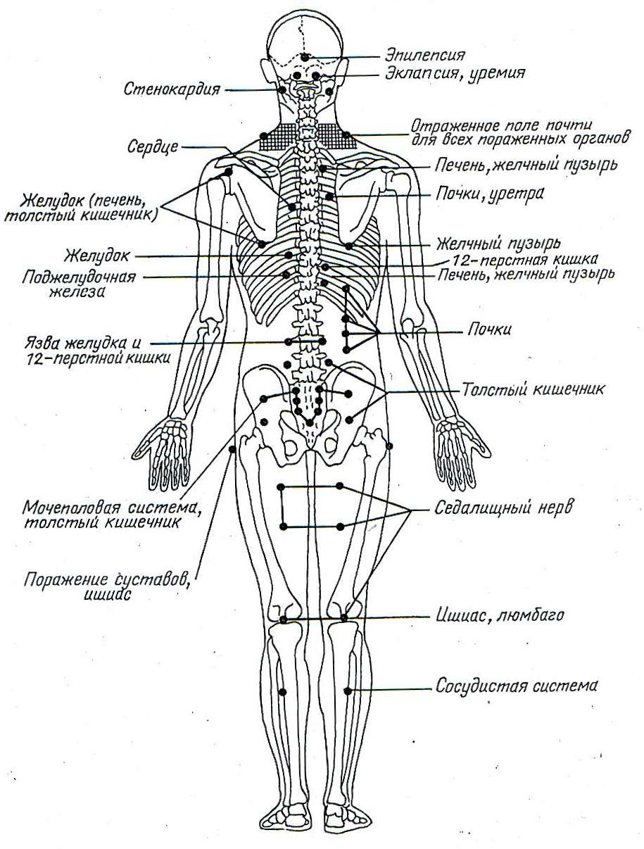 Пункты максимальной болевой чувствителности при заболеваниях внетренних органов, рекомендуемые для акупунктуры по принципу реперкуссии 