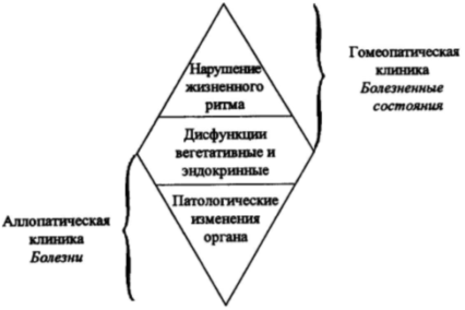 место, зани­маемое гомеопатической и аллопатической медициной